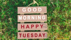 100+ Positive Good Morning Tuesday Blessings