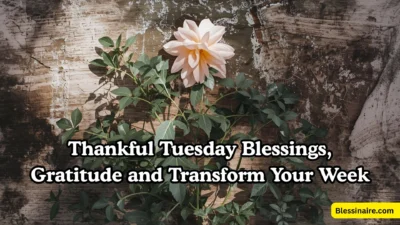 Thankful Tuesday Blessings, Gratitude and Transform Your Week